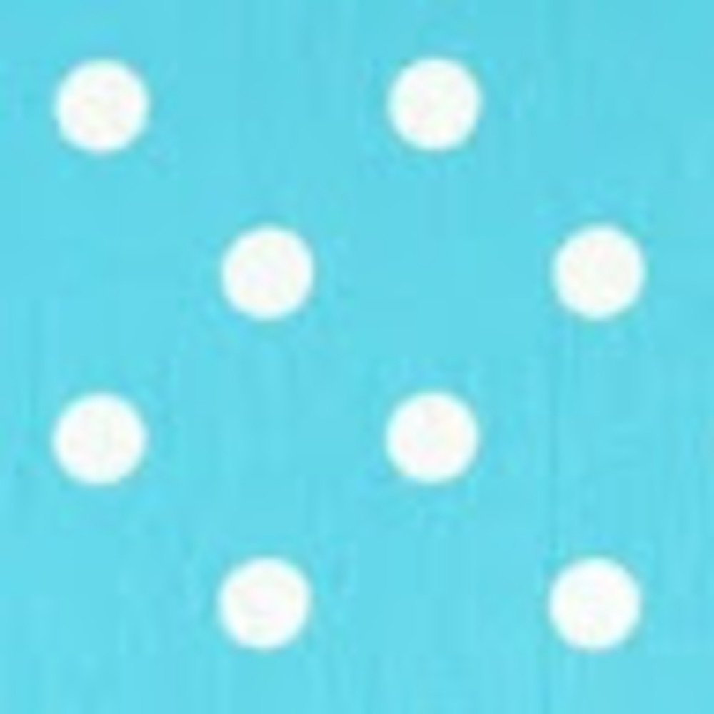 Meet your Posher, Sanya